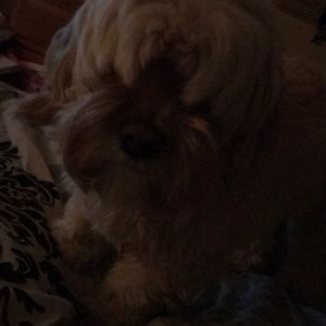 Meet your Posher, Stefanie